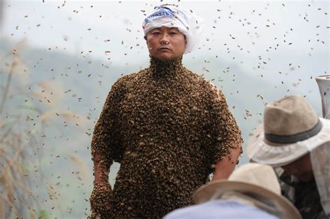 If you go back to the village you can visit that ball house where you can change the color of yokus ball. Man Wears Suit Made Of 1.1 Million Bees In Attempt To Set ...