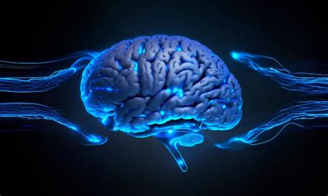 Understanding The Latest Neuroimaging Techniques
