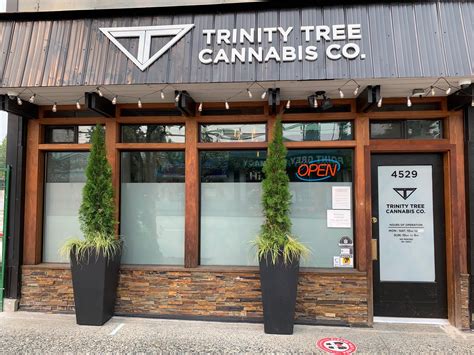 Fastest Downtown Vancouver Weed Delivery Service Trinity Tree