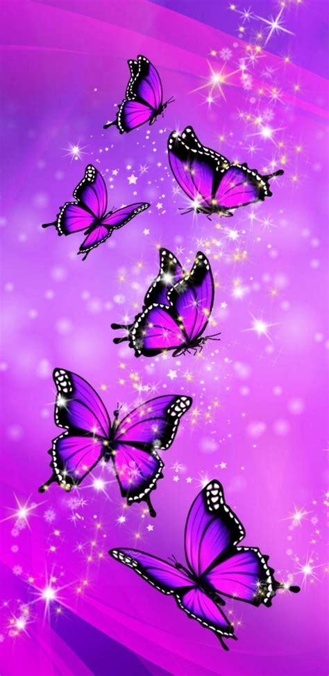 Midnight Purple Butterfly Wallpapers Top Free Midnight Purple Butterfly Backgrounds