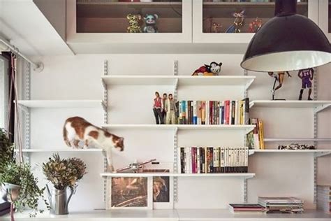 30 Modern Diy Cat Playground Ideas In Your Interior Home Design And