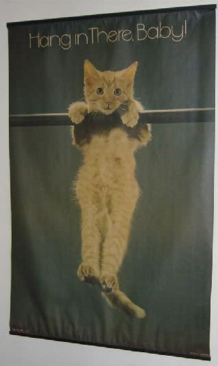 Maybe you would like to learn more about one of these? DAVID DUST: Happy Caturday!