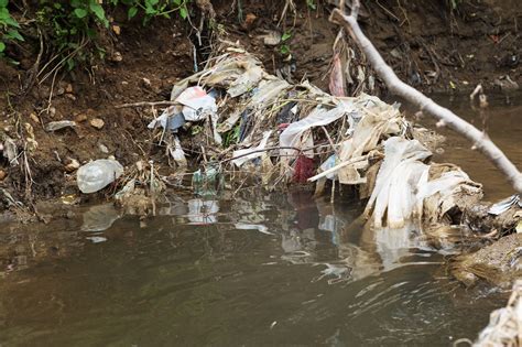 3 Harmful Effects Of Plastic Bags Causing Environmental