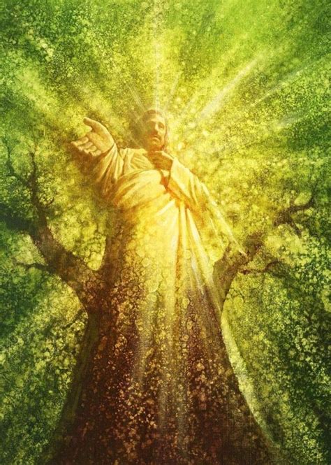 Images Du Christ Pictures Of Jesus Christ Tree Of Life Pictures
