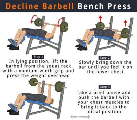 A) increase your skill as a bencher so your current muscle mass set the hooks to the proper height. Decline Barbell Bench Press: Forms, Benefits, Muscles ...