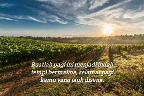 Layaknya pagi hari yang indah ditemani sang fajar, sore hari pun tak kalah indahnya dengan ditemani sang senja. Kata Kata Pagi - Katapos