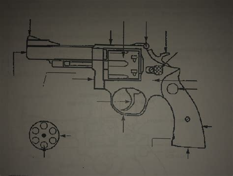 Firearms Revolver Diagram Quizlet
