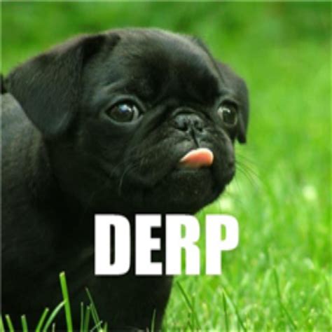 ― updikegabriel updike, or just simply updike, is a secret character in the vs. Derp Pug Puppy T-Shirt - ROBLOX