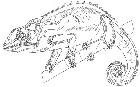 Coloriage De Animaux Pour Adulte Gratuit Caméléon Artherapieca