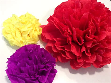 Le rose, quindi, sono tra i fiori più adatti da regalare per il compleanno e per chi ama la tradizione e vuole andare a colpo sicuro. Fiori di carta