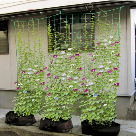 The garden trellis netting have outstanding attributes for effectiveness and value. Durable Garden Green Nylon Net Climbing Frames Gardening ...