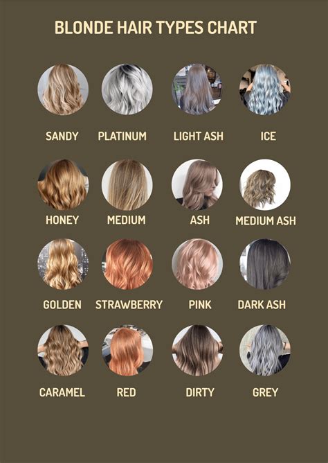 Free Hair Type Chart Template Download In Word Pdf Illustrator