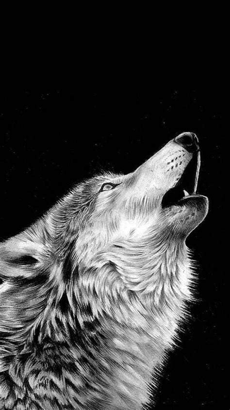 Maybe you would like to learn more about one of these? Wallpapers Iphone White - iphone wallpaper 4k in 2020 ...