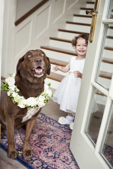 Maybe you would like to learn more about one of these? Pin em My Wedding - Rowland Farm, Knoxville, TN