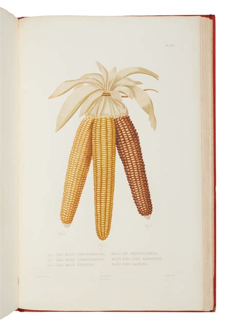 Bonafous Matthieu The Most Authoritative Reference On The Cultivation Of Corn The John