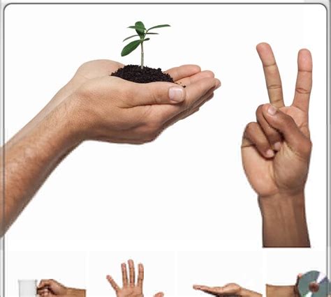 Wallpaper gambar hello kitty keren wallpaper gambar islamik wallpaper gambar hp iphone 11 pro wallpaper gambar harimau putih marah wallpaper gambar jimin bts cute. Banjar Art Design: Gambar-Gambar Tangan