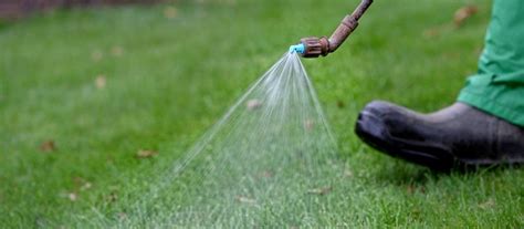 Unfortunately ant treatment does not last forever, and it requires upkeep to ensure that ants do not return. SlowMow Treatment - Lawn Treatments - GreenThumb Lawn ...