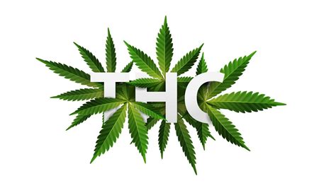 Thc Logo Signo Símbolo Título 3d Decorado Con Hojas De Cannabis