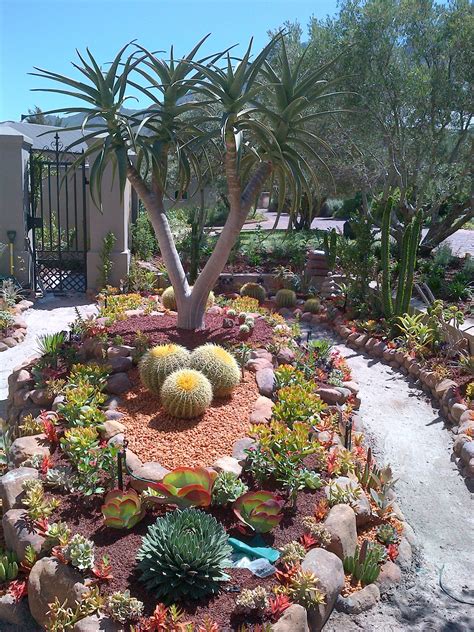 My Succulent Garden Jardín De Cactus Jardines Jardín De Cactus De