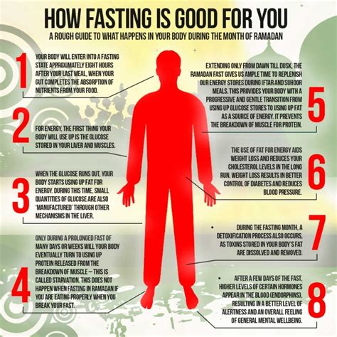 The Stages Of Fasting In Depth Wellness Plant Based