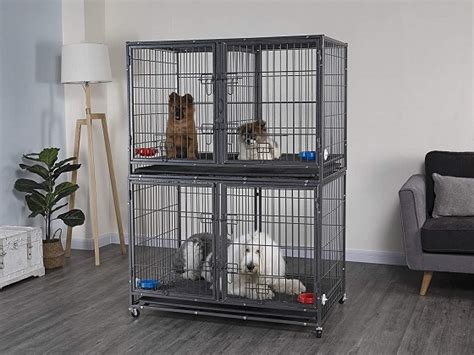 Best 5 Stackable Dog Crates To Get Reviewed By Expert In 2022