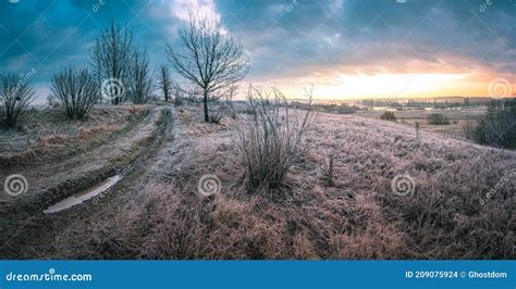 Winter Moring Among Fields Stock Photo Image Of Sunrise 209075924