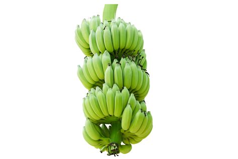 Green Unripe Banana 20952129 Png