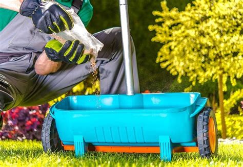 After fertilizing during the growing season, grass needs soaking to a depth of 4 to 6 inches about once a week. Fertilizing Your Lawn in the Fall - Should You Do It?