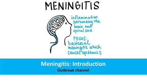 Meningitis Introduction Openwho