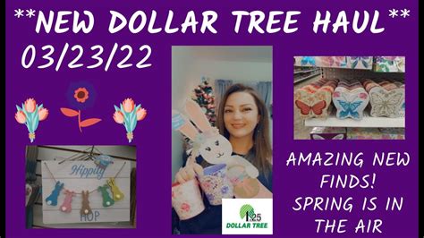 New Dollar Tree Haul 32322 Amazing New Finds Youtube