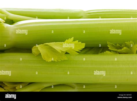 Celery Stems Close Up Stock Photo Alamy