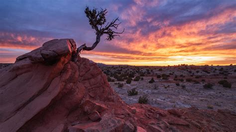 Winners Of The 20th Annual New Mexico Magazine Photo Contest