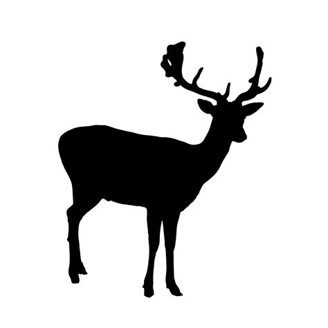 Deer Silhouette Clipart Free Stock Photo Public Domain Pictures