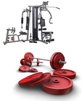 Finally Fit: Articles - Machines Vs. Free Weights