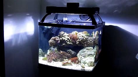 For more information, please visit the thread. Bio Cube 29g - Sump Install & Modifications - YouTube