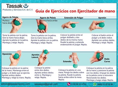 Guía De Ejercicios Con Ejercitador De Mano Ejercicios Ejercicio