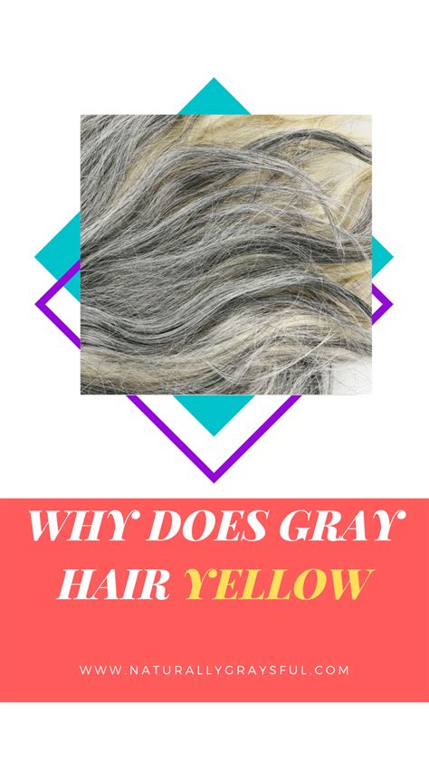 Why Does Gray Hair Turn Yellow — Naturally Graysful 🦋