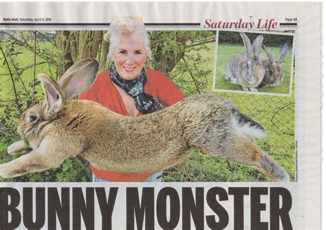 Playboy Bunnys Giant Rabbit Dies On United Flight Live And Lets Fly