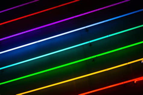 Neon Lines Abstract Glowing Lines Abstract Lines Neon Hd Wallpaper