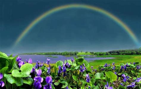 Dreamy Beautiful Rainbow Beautiful Nature Nature