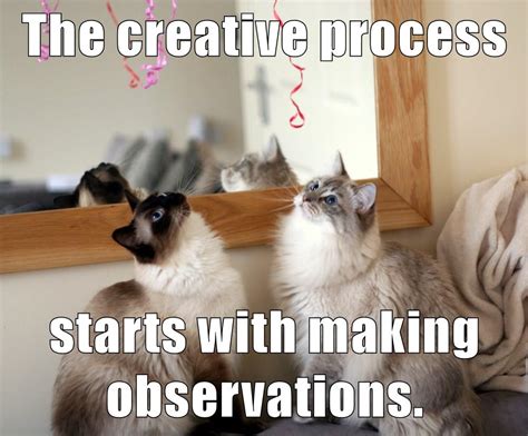 Growth Mindset And Feedback Cats The Creative Process Starts With Making