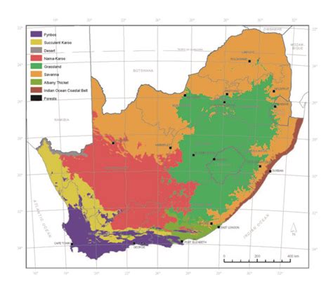 South African Biomes Facts Information And Pictures Learn More Explore