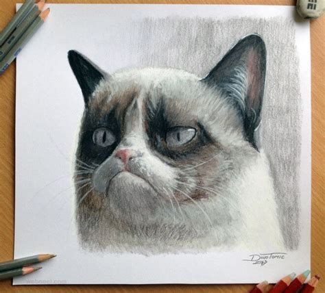 26 Stunning Drawings Of Animals Made From Pencil And Paper