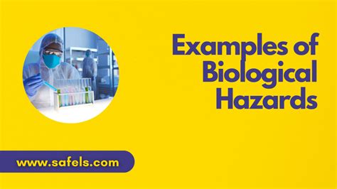 20 Common Examples Of Biological Hazards In The Workplace