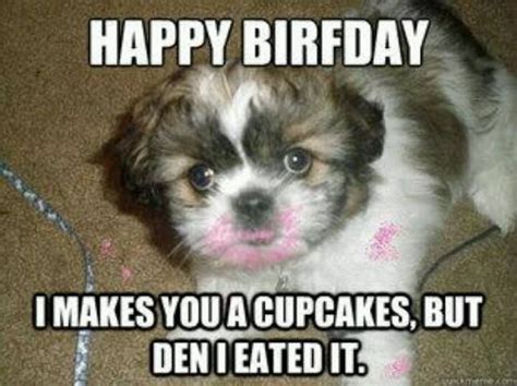 Grasp The Inspirational Funny Animal Birthday Memes Hilarious Pets