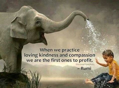 Kindness To Animals Quote Quotes Kindness To Animals Quotesgram