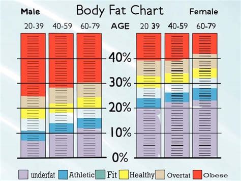 Why You Need To Know Your Body Fat Percentage Zach Moore