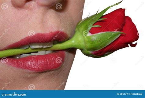 Woman Biting On Rose Stem Stock Image Image Of Mouth Woman