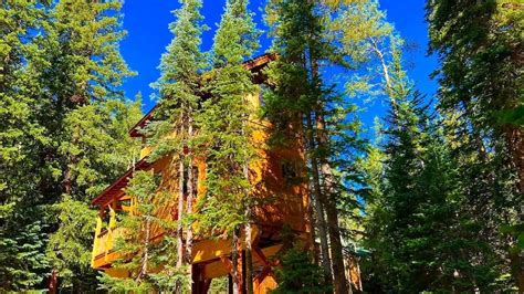 9 Best Colorado Treehouse Rentals 2024 Top Treehouses