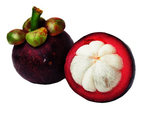 Berikut adalah manfaat buah manggis untuk kesehatan. Obat Ampuh Asam Urat Dan Rematik: Obat Asam Urat ...